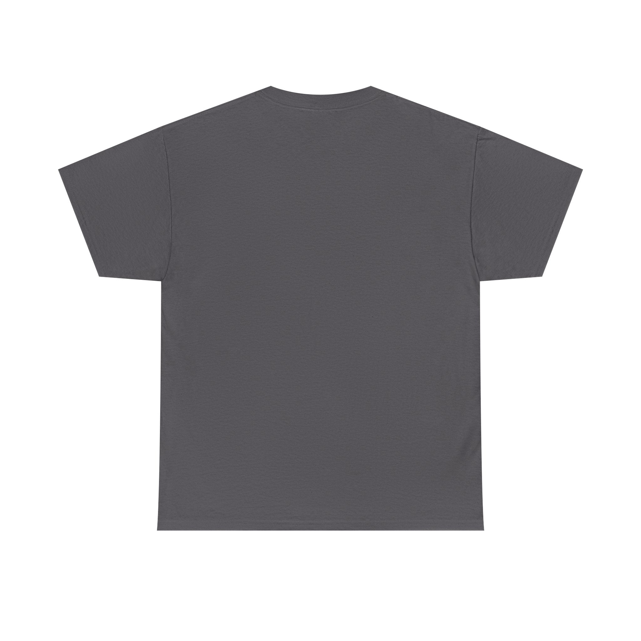 Where Are The Audits? Tee — Massachusetts Conservative Movement Political Shirt