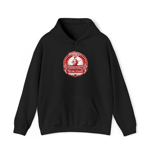 America 250 Hooded Sweatshirt